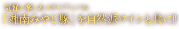 気軽に楽しむ